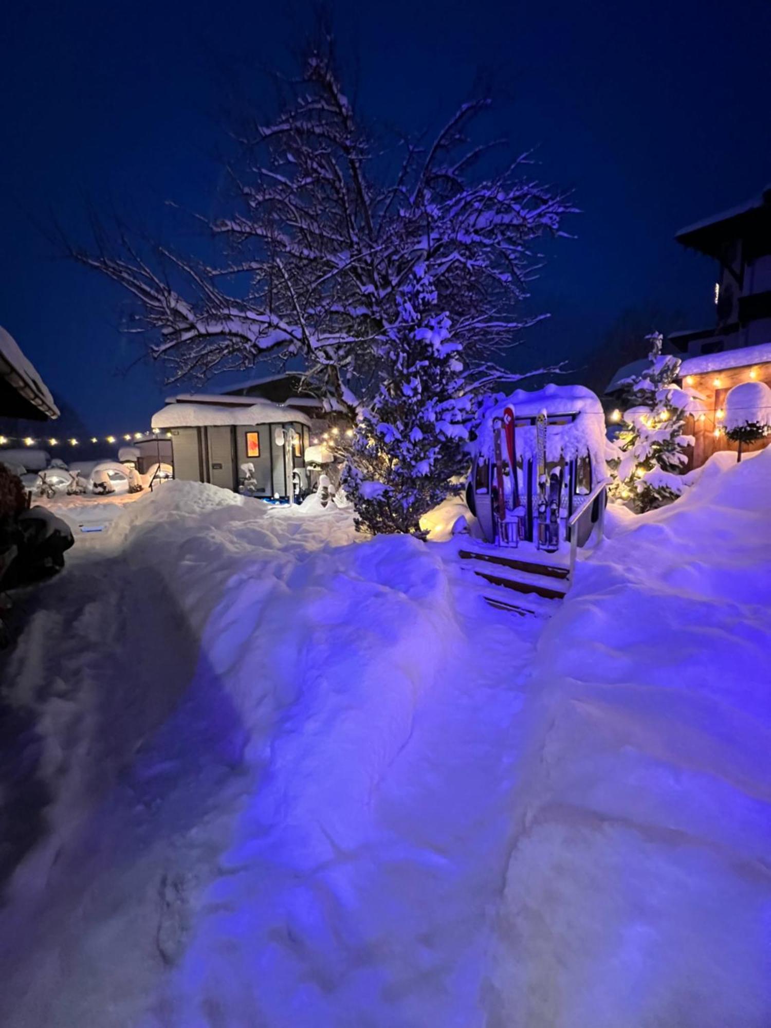 Alpenhotel Tyrol - B&B Konzepthotel - Adults Only بيرتيساو المظهر الخارجي الصورة